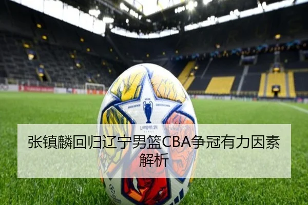 张镇麟回归辽宁男篮CBA争冠有力因素解析